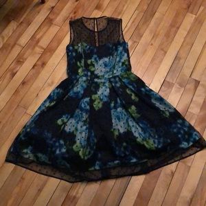 Modcloth Eliza J Polka Dot Overlay Dress